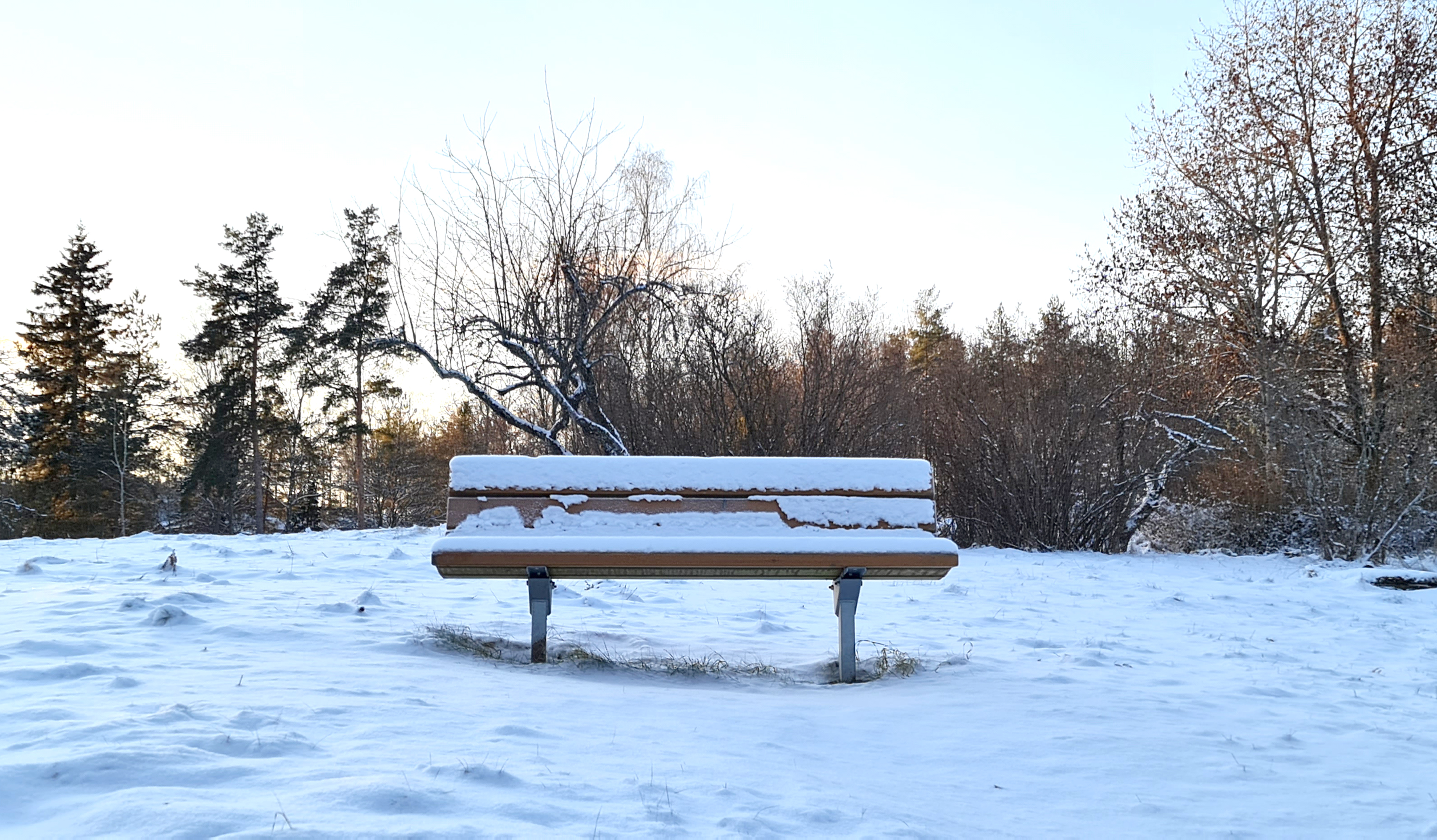 Parkbank Djurgården 